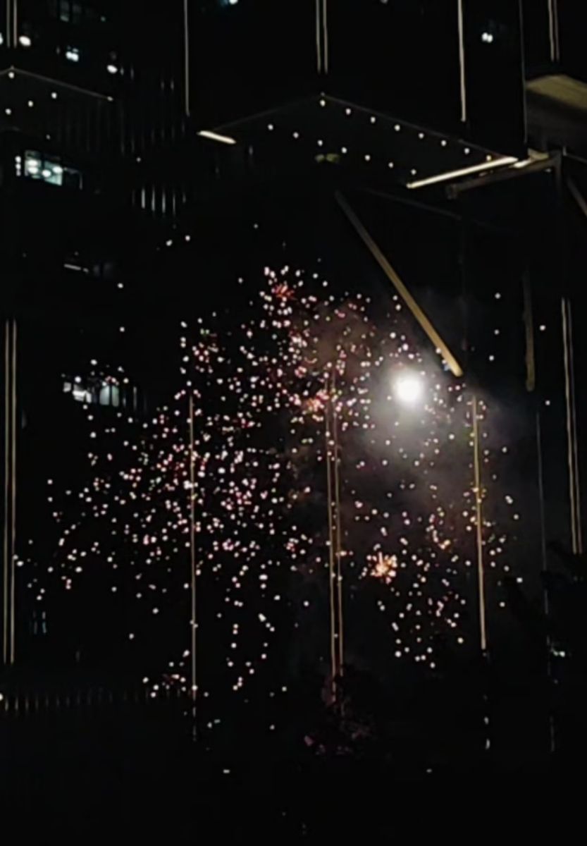 评论图片-Share1069 精品资源分享站