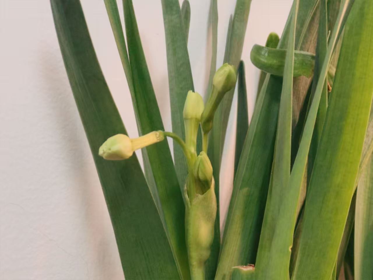 评论图片-Share1069 精品资源分享站