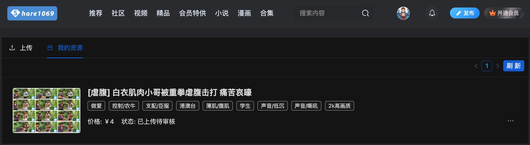 图片[10]-【指引】新版上传组件上线！-社区公告社区-社区中心-Share1069 精品资源分享站