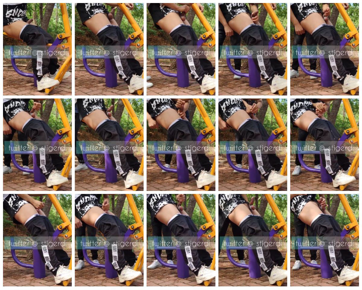 图片[1]-[stigerdl] 体育生 户外公园健身架上榨取精液 [10:59] (720P)-Share1069 精品资源分享站