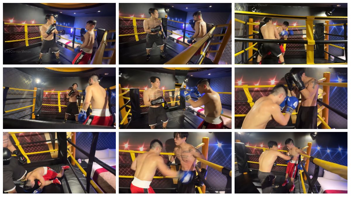 图片[1]-[RedCornerBoxer] 红黑方拳击手擂台搏斗 [13:36] (2k)-Share1069 精品资源分享站