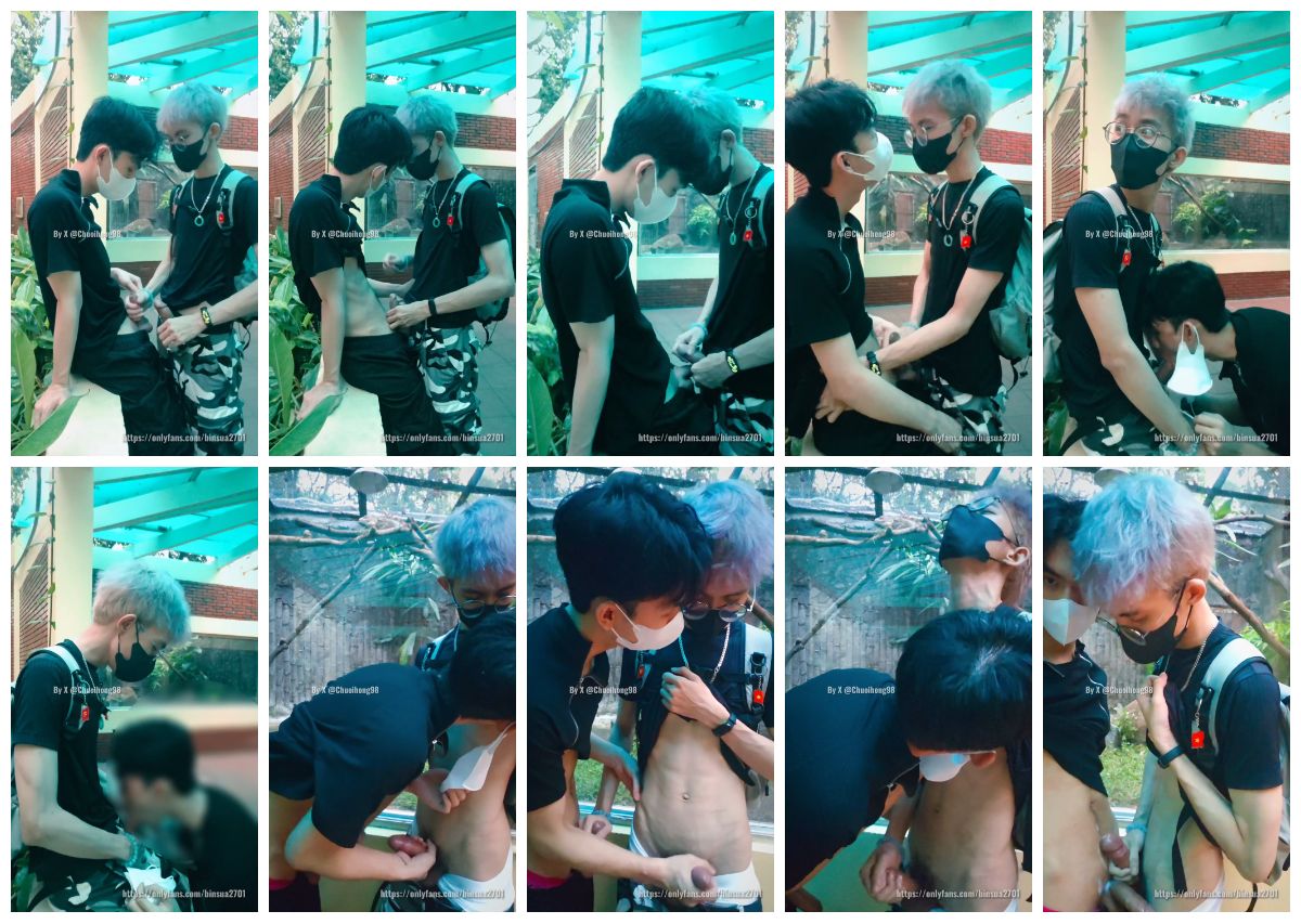 图片[1]-[binsua2701] 薄肌粗屌体育生废墟暴露互撸榨精 [11:12] (2k)-Share1069 精品资源分享站