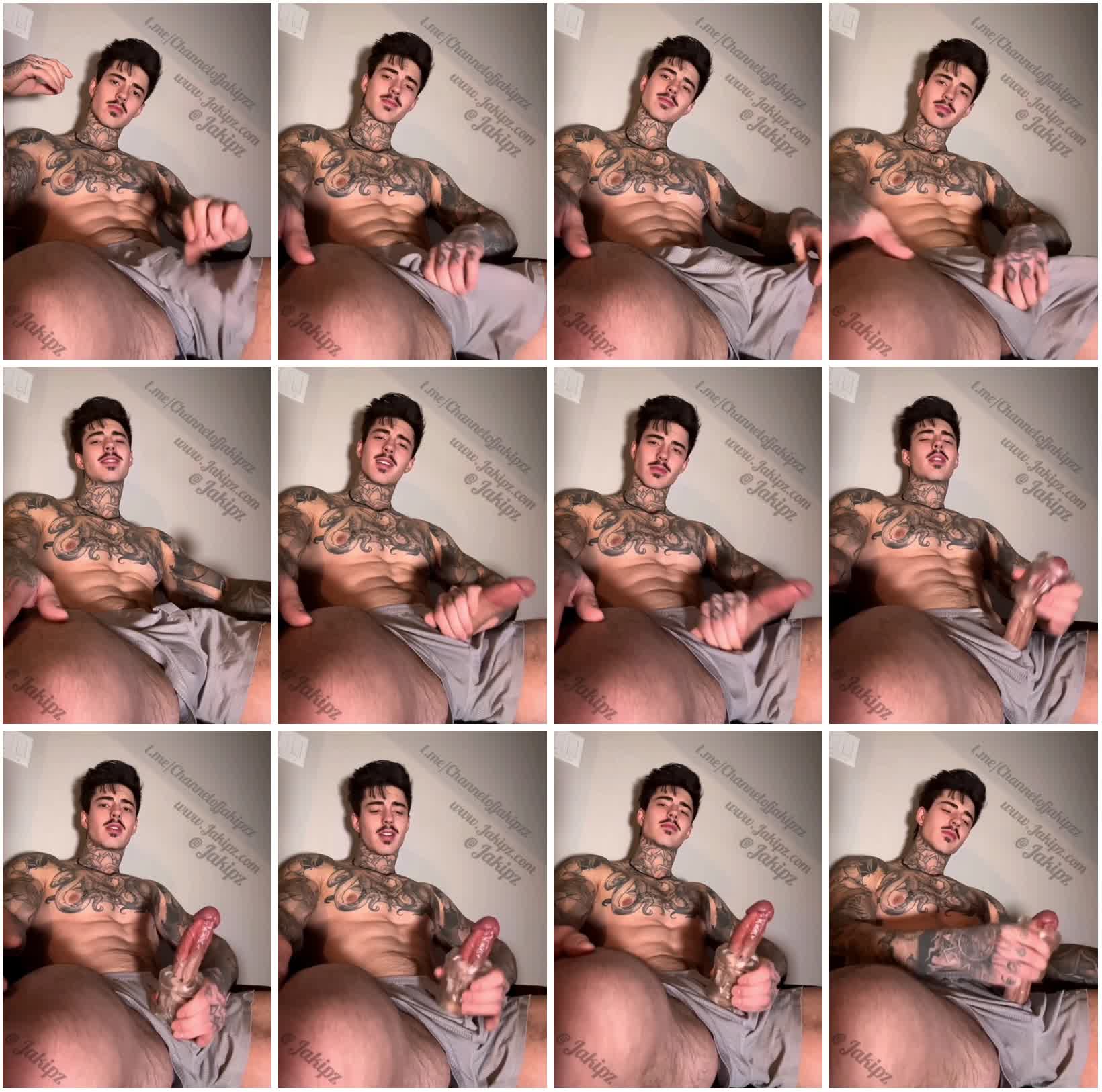 图片[1]-[Jakipz] 美洲大蟒蛇 Jakipz 透明飞机杯-Share1069 精品资源分享站